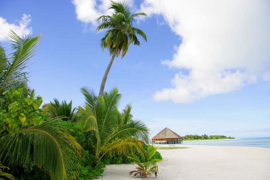 пляж и пальмы на Мальдивах