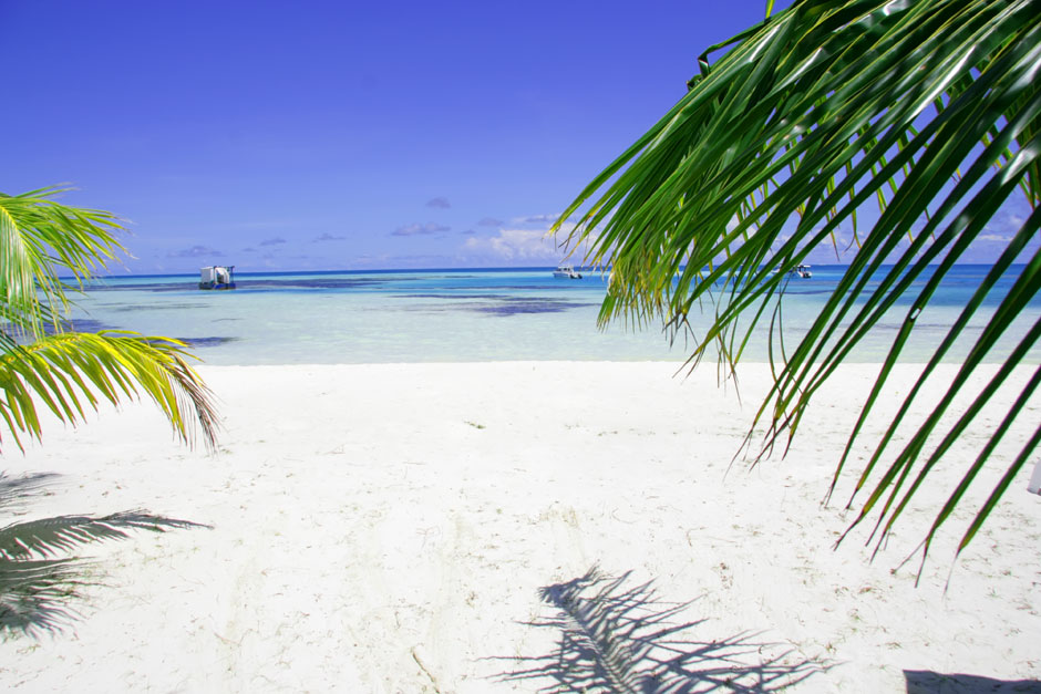 белый песок и океан - идилия на Мальдивах